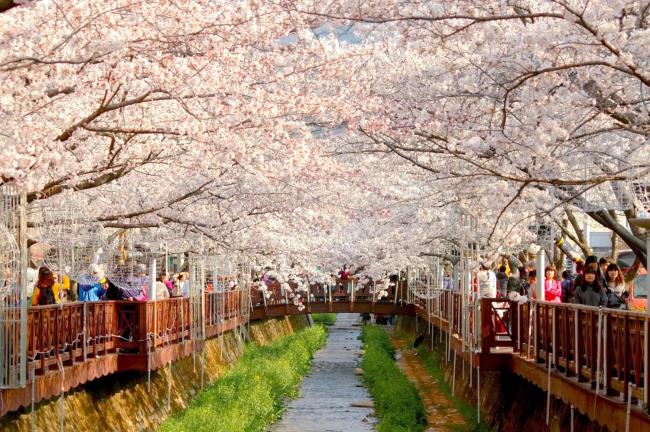 Collection of the most beautiful images of Korea
