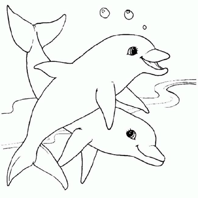 Collection of beautiful shark coloring pictures