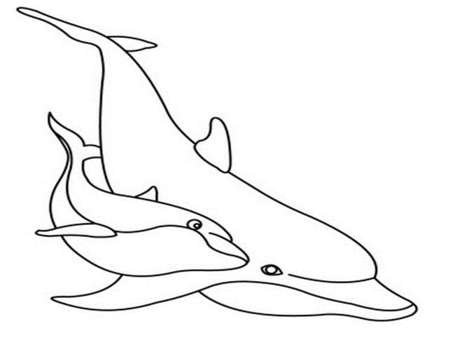 Collection of beautiful shark coloring pictures