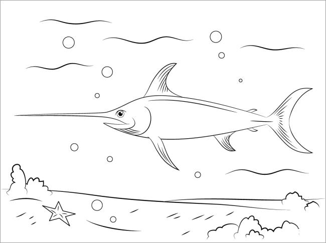 Collection of beautiful shark coloring pictures