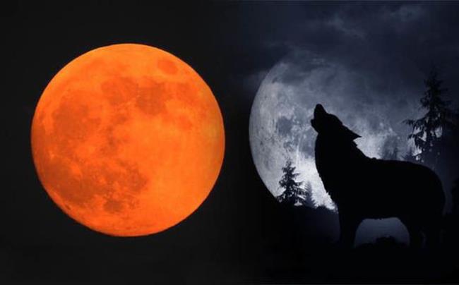 सबसे सुंदर रक्त चंद्रमा छवियों का संग्रह