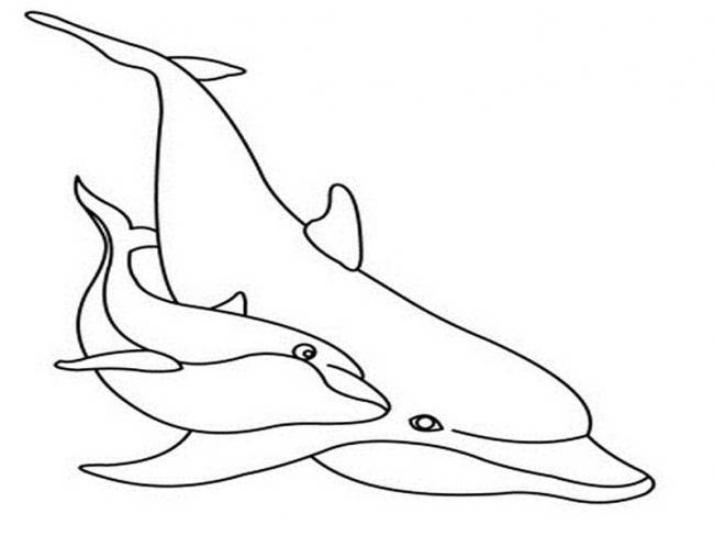 Collection of beautiful shark coloring pictures