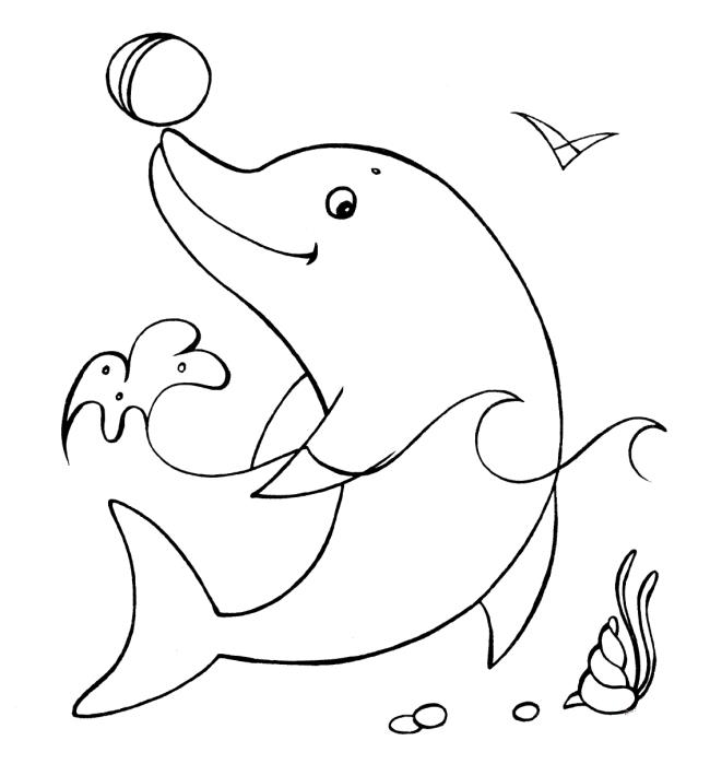 Collection of beautiful shark coloring pictures