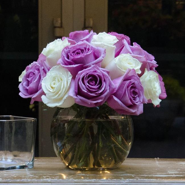 Collection des plus belles photos de roses violettes