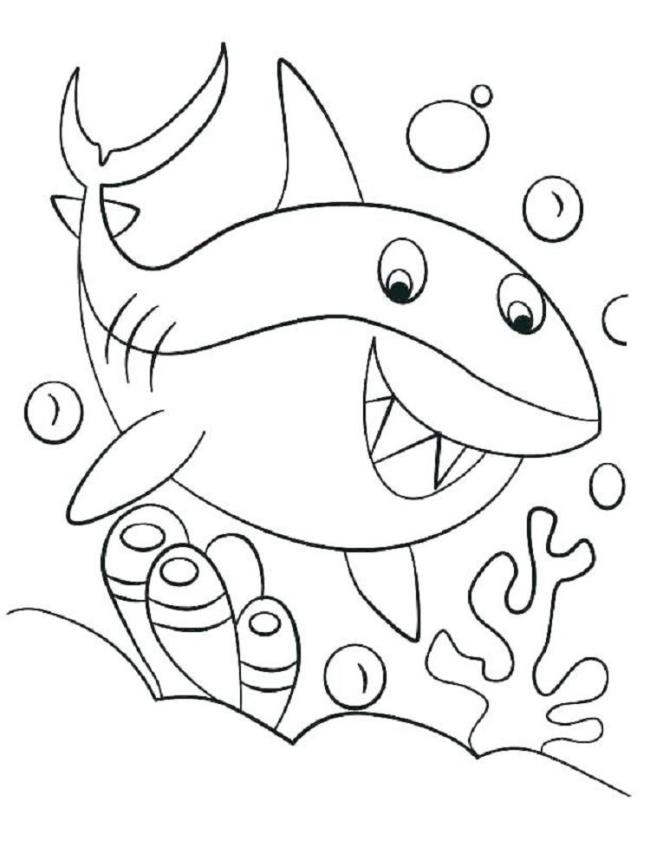 Collection of beautiful shark coloring pictures