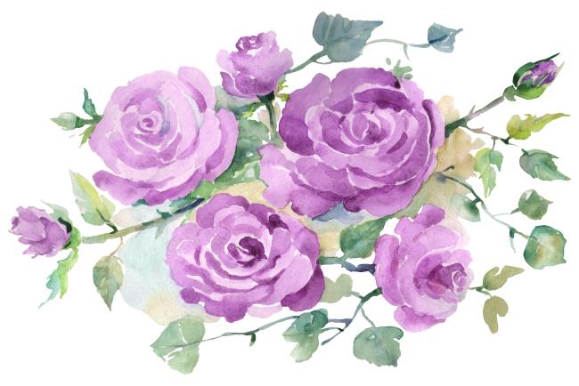 Collection des plus belles photos de roses violettes