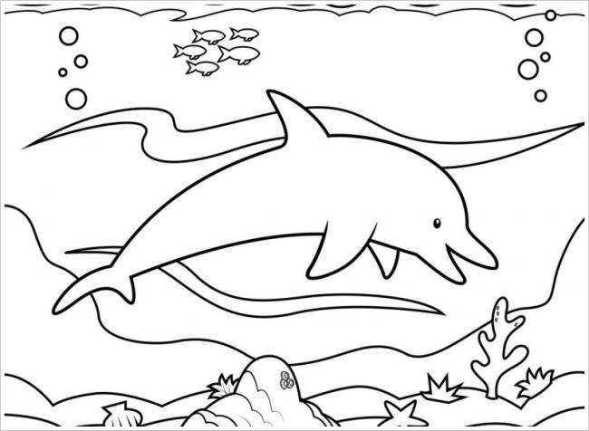 Collection of beautiful shark coloring pictures