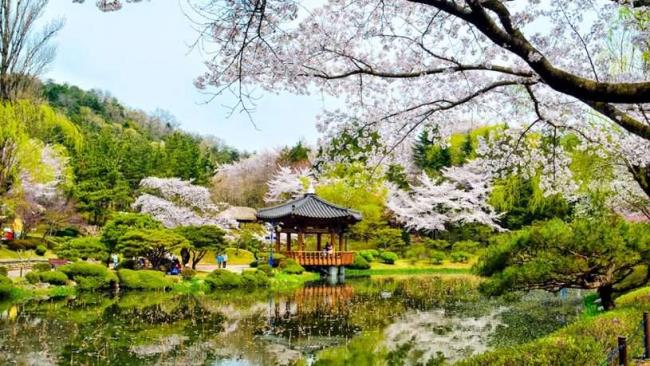 Sammlung der schönsten Bilder Koreas
