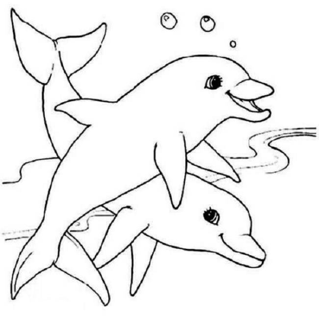 Collection of beautiful shark coloring pictures