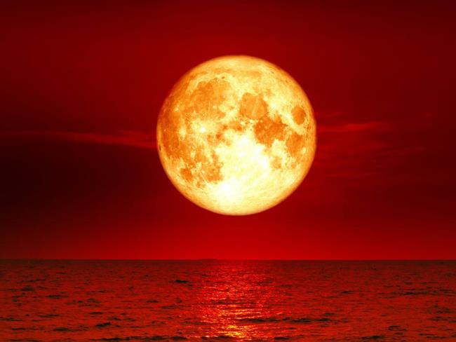 Raccolta delle più belle immagini di Blood Moon