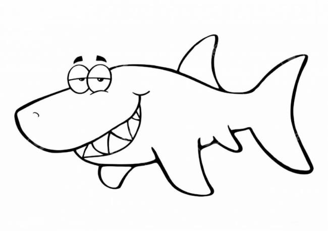 Collection of beautiful shark coloring pictures