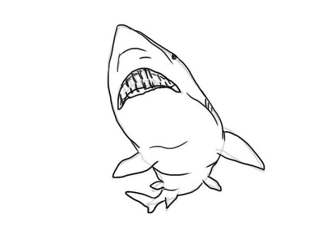 Collection of beautiful shark coloring pictures