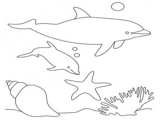 Collection of beautiful shark coloring pictures