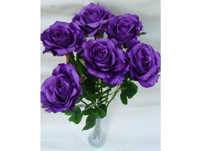 Collection of the most beautiful purple roses pictures