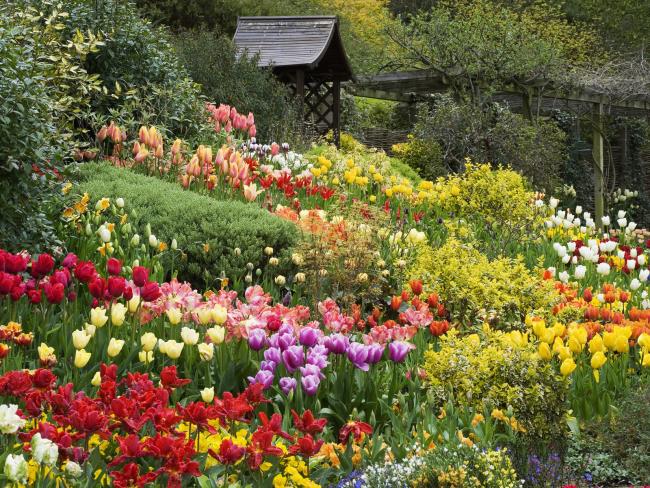 خلاصه ای از زیباترین باغ های گل در جهان