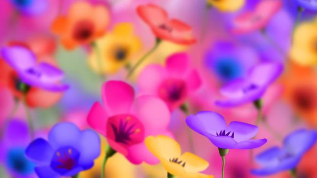 सबसे सुंदर फूल वॉलपेपर का संग्रह