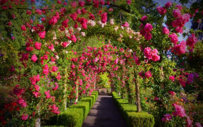 Краткий обзор самых красивых цветочных садов в мире