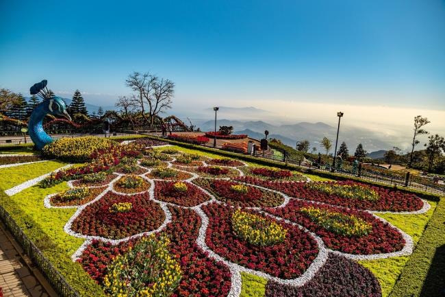 Краткий обзор самых красивых цветочных садов в мире