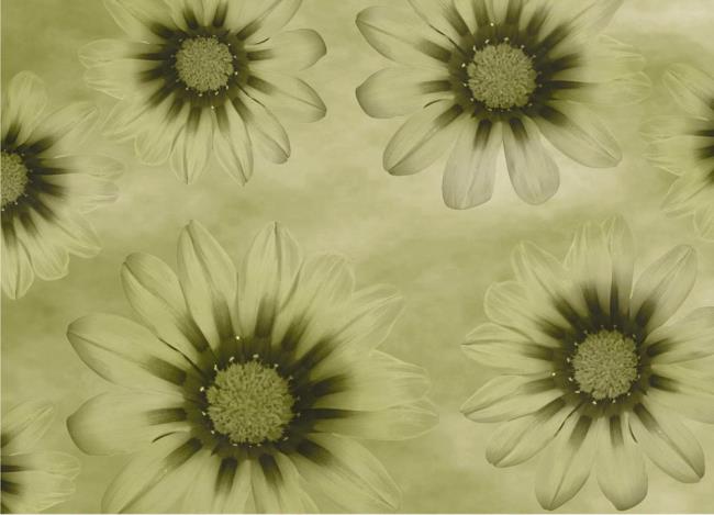 Combining images of the most beautiful blue daisies