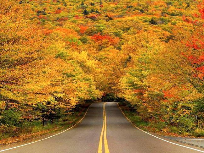 As melhores imagens das estradas mais bonitas do mundo