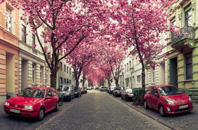 दुनिया की सबसे खूबसूरत सड़कों की शीर्ष छवियां