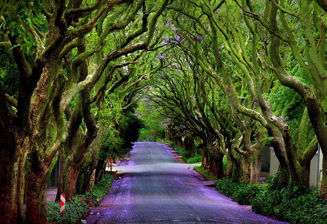 Top images of the world's most beautiful roads