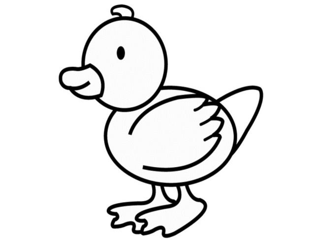 Collection of simple coloring pictures for 2-year-old babies