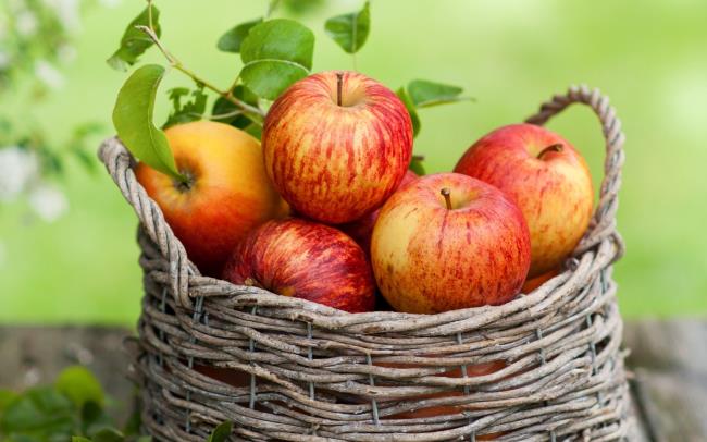Коллекция самых красивых яблок