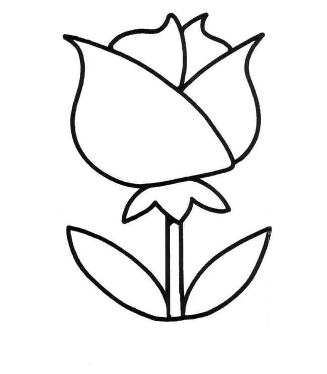 Collection of simple coloring pictures for 2-year-old babies