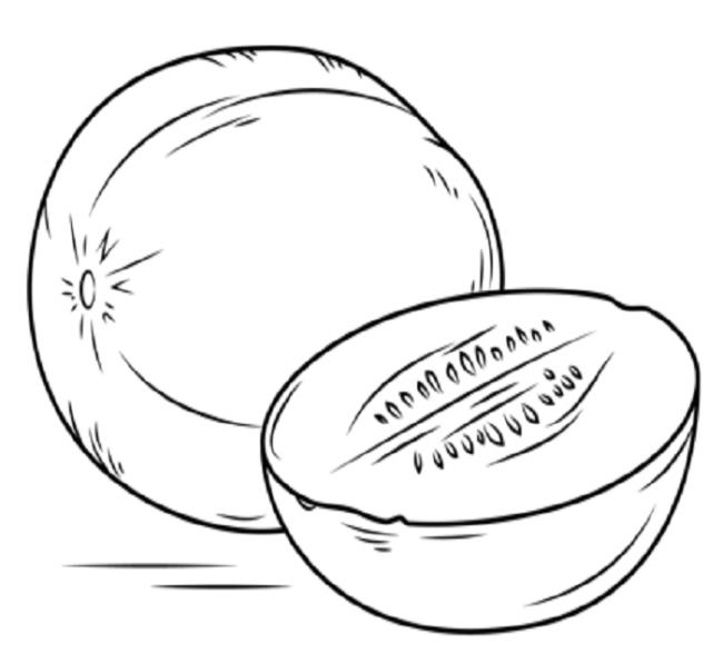 Collection of papaya coloring pictures for kids to practice coloring