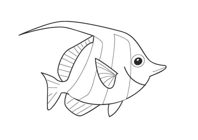 Collection of simple coloring pictures for 2-year-old babies