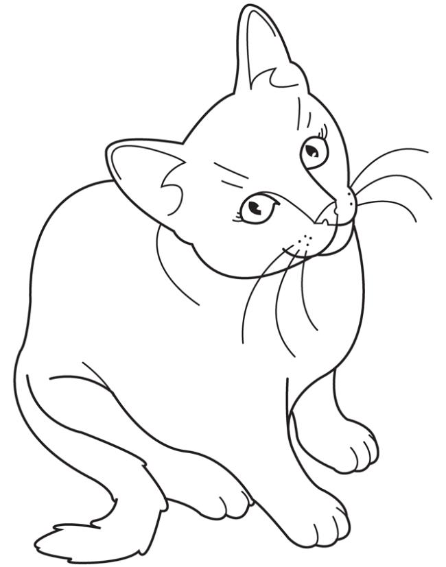 Collection of the most beautiful cat coloring pictures