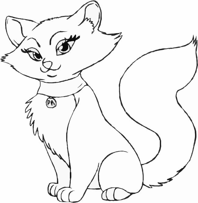 Collection of the most beautiful cat coloring pictures