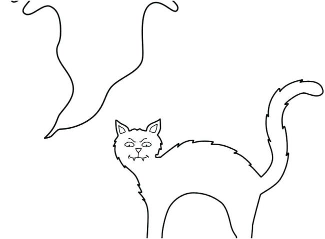 Collection of the most beautiful cat coloring pictures