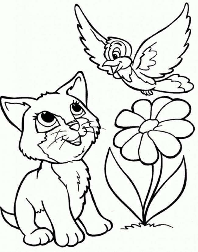 Collection of the most beautiful cat coloring pictures