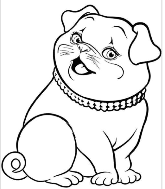 Collection of the most beautiful cat coloring pictures