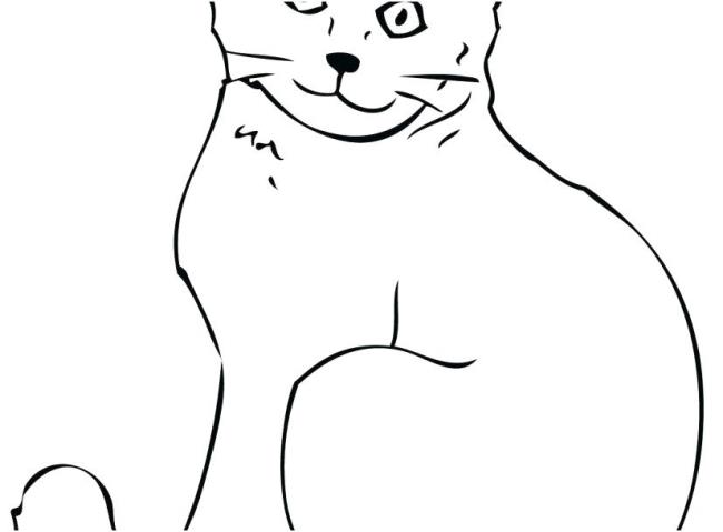 Collection of the most beautiful cat coloring pictures