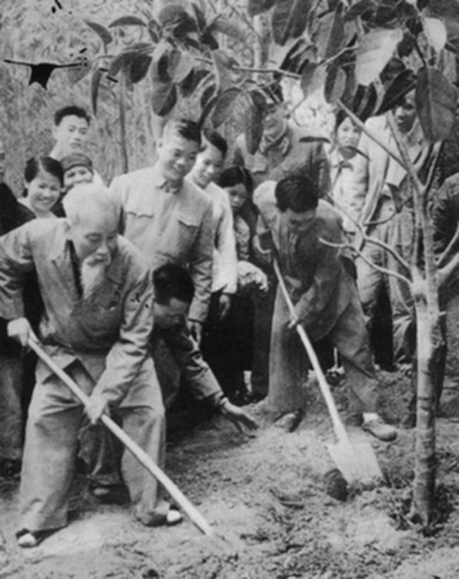 Ho Amca'nın en iyi fotoğraflarının özeti