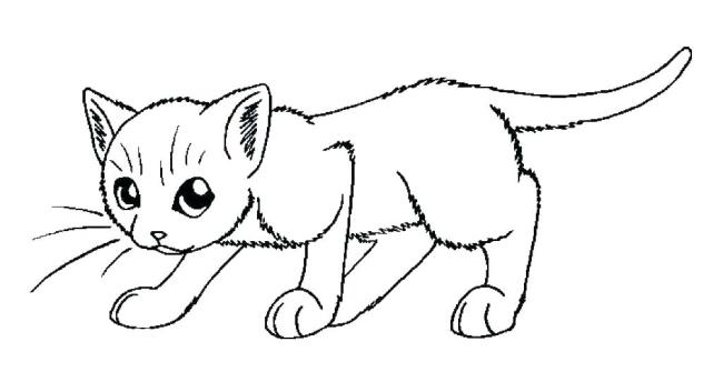 Collection of the most beautiful cat coloring pictures