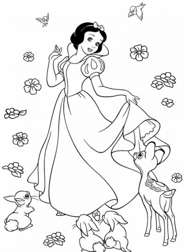 Summary of the picture painted princess snow white