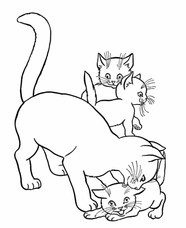 Collection of the most beautiful cat coloring pictures