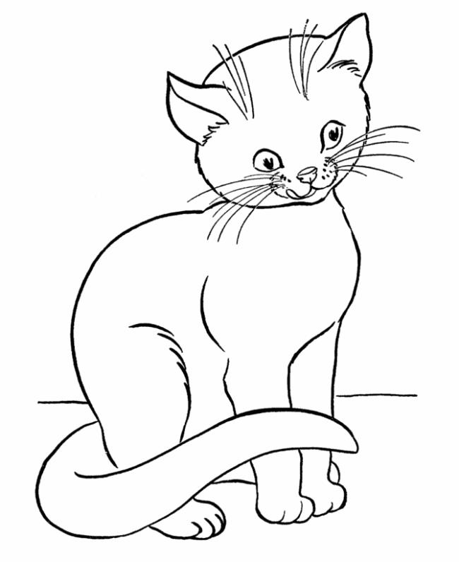 Collection of the most beautiful cat coloring pictures