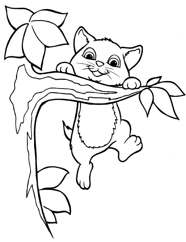 Collection of the most beautiful cat coloring pictures