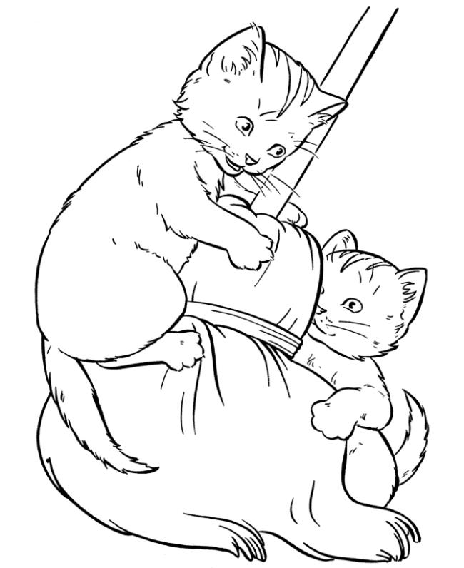 Collection of the most beautiful cat coloring pictures