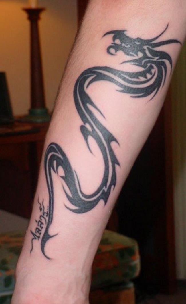Collezione di 50 disegni del tatuaggio del drago sul braccio