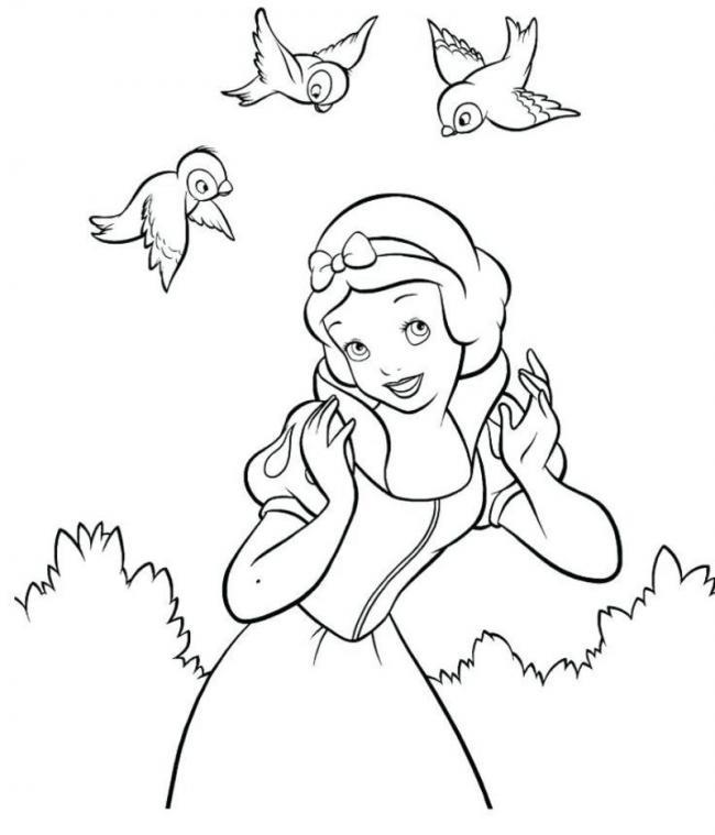 Summary of the picture painted princess snow white