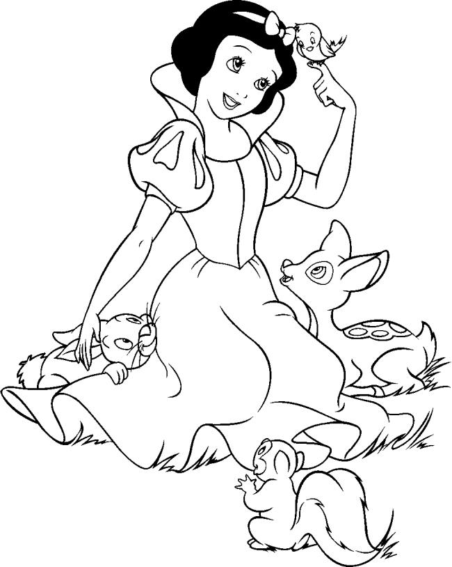 Summary of the picture painted princess snow white