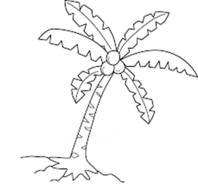 Collection of the most beautiful coloring pictures of coconut for children