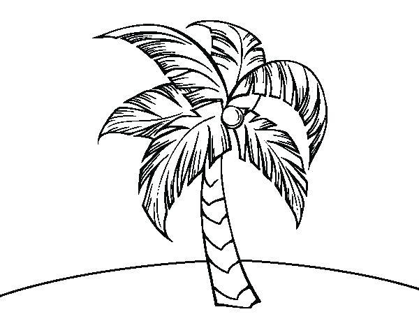 Collection of the most beautiful coloring pictures of coconut for children
