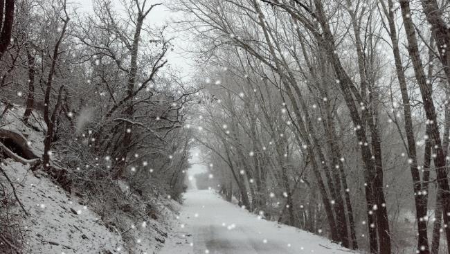 Colecția celor mai frumoase animații